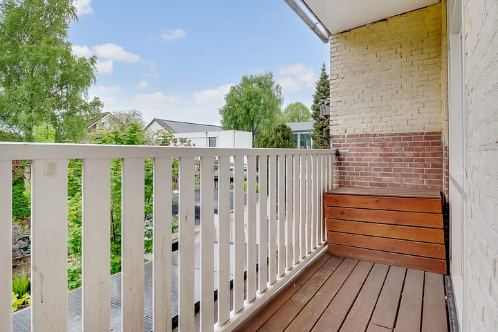 Foto 13 van Laan van Nieuw-Guinea 44-BS