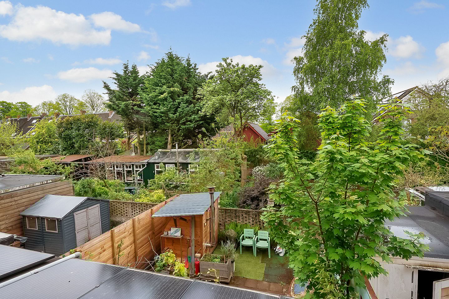 Foto 14 van Laan van Nieuw-Guinea 44-BS