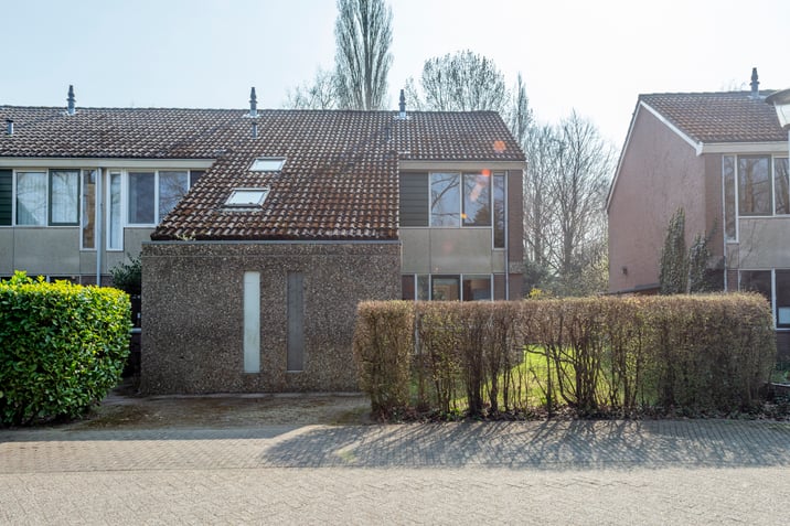 undefined main image
