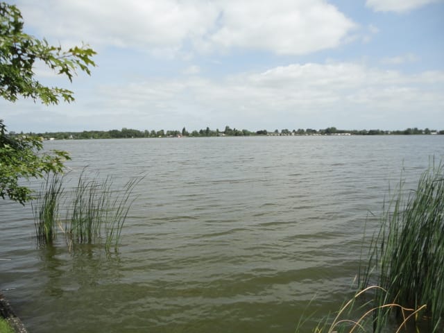 Photo 21 of Langeraarseweg 5