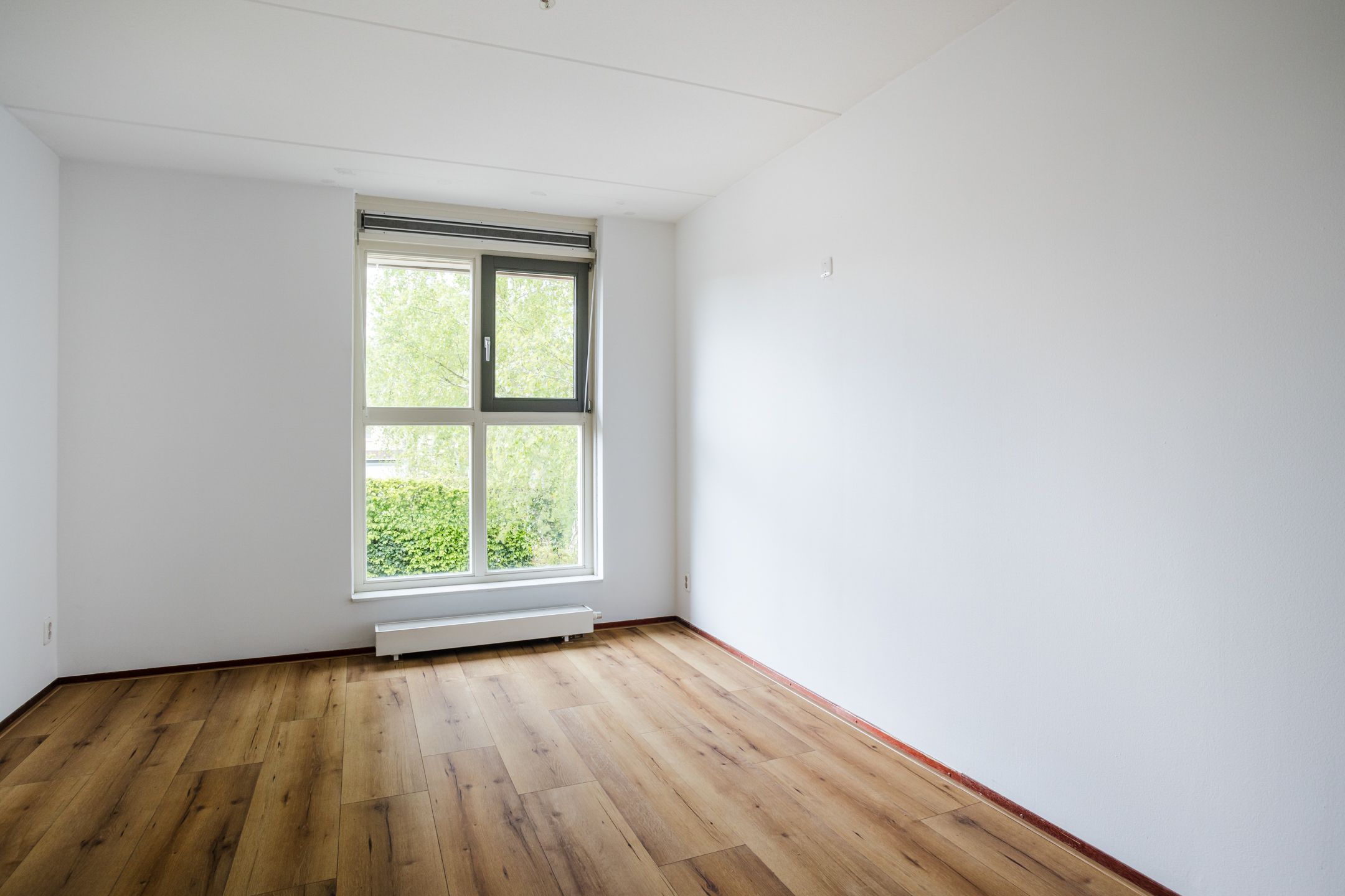 Photo 12 of Hoogven 9