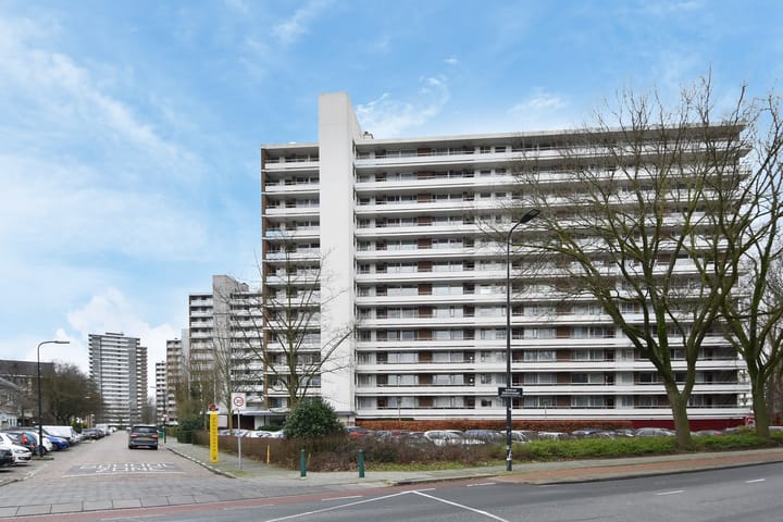 Foto 2 van Ocarinalaan 218