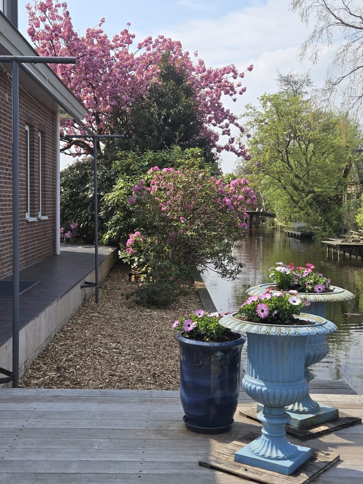 Foto 4 van Park Zomerlust 71