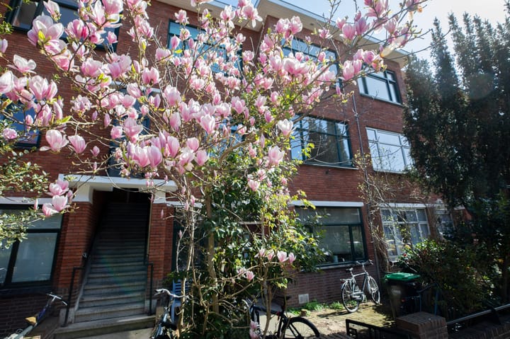 Foto 3 van Van Lansbergestraat 103