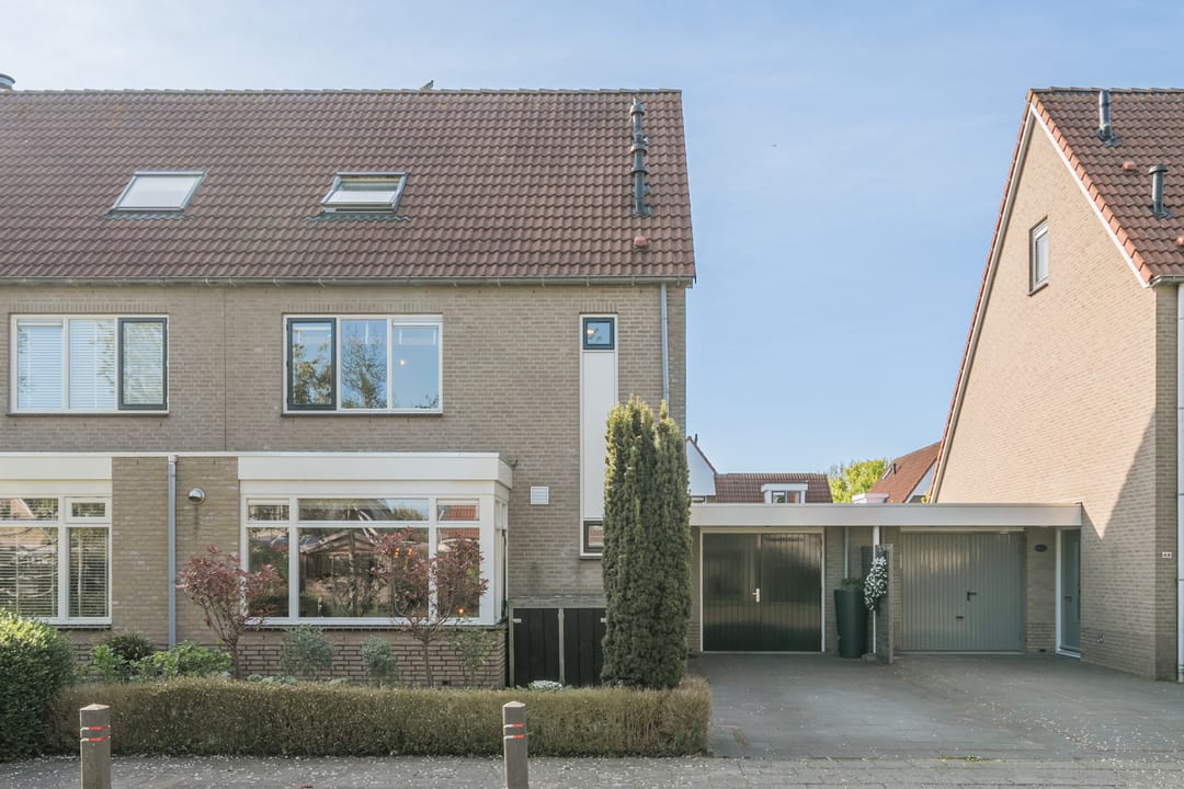 Foto 2 van Waterdrieblad 47