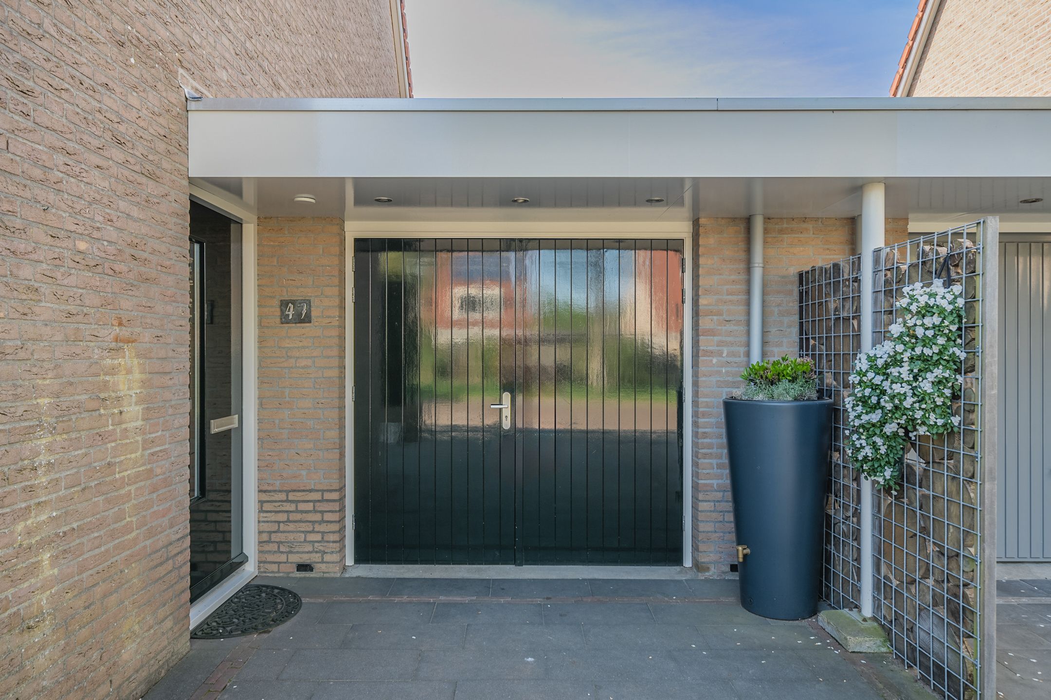 Foto 3 van Waterdrieblad 47