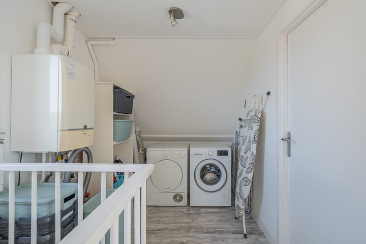 Foto 37 van Waterdrieblad 47