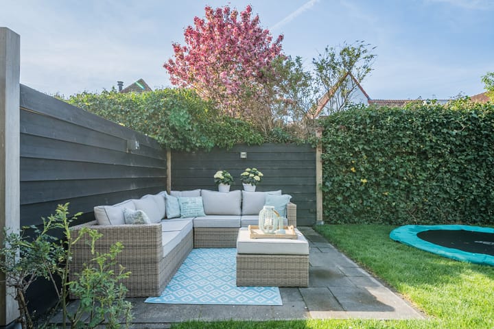 Foto 46 van Waterdrieblad 47