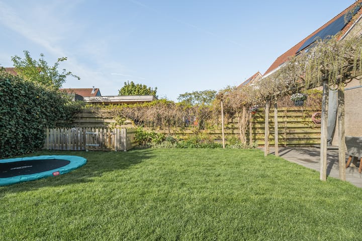 Foto 47 van Waterdrieblad 47