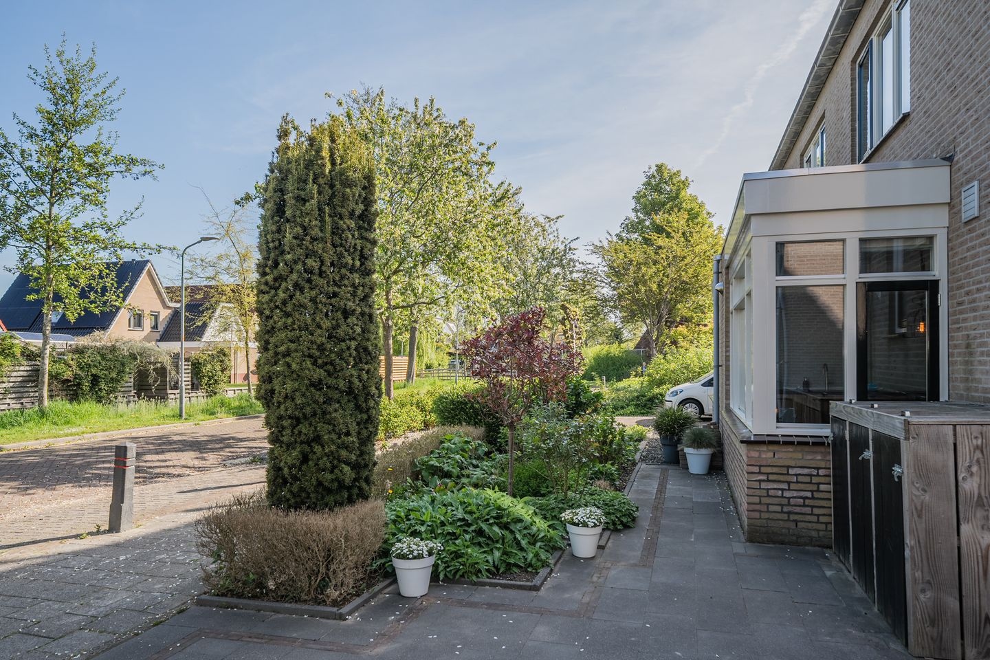 Foto 49 van Waterdrieblad 47