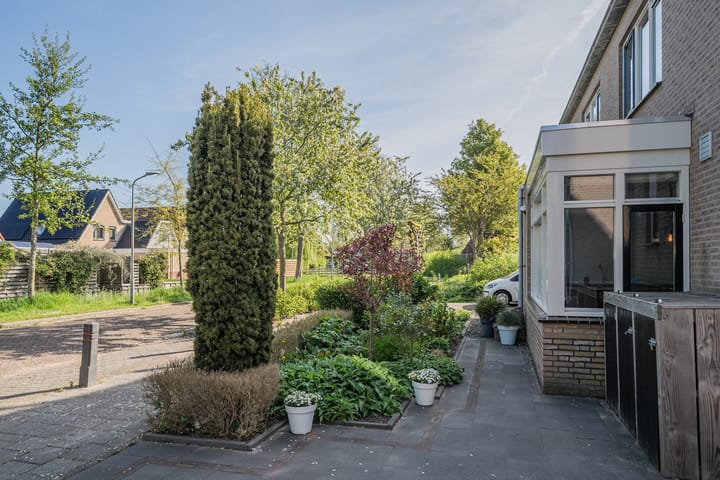 Foto 49 van Waterdrieblad 47