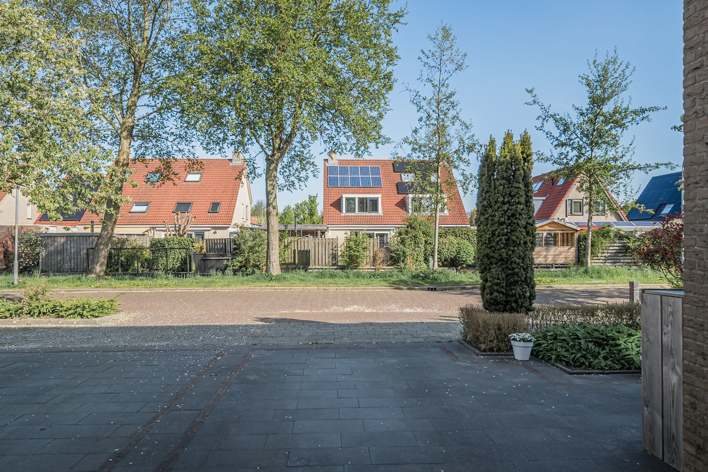 Foto 50 van Waterdrieblad 47