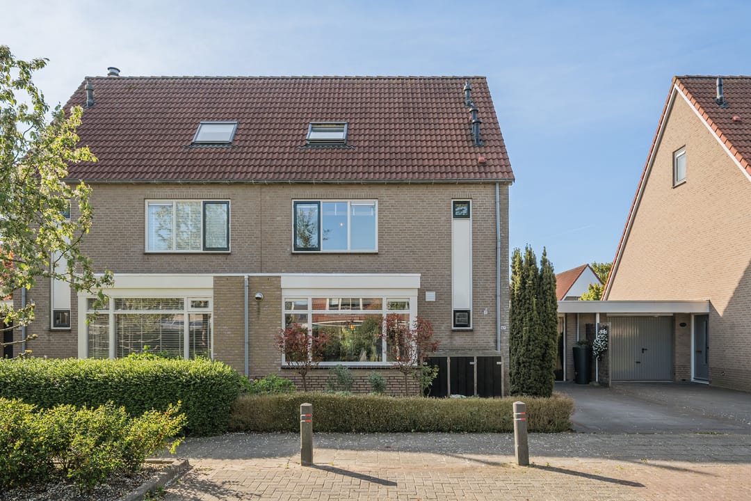 Foto 53 van Waterdrieblad 47