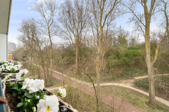 Foto 33 van Duinslag 53