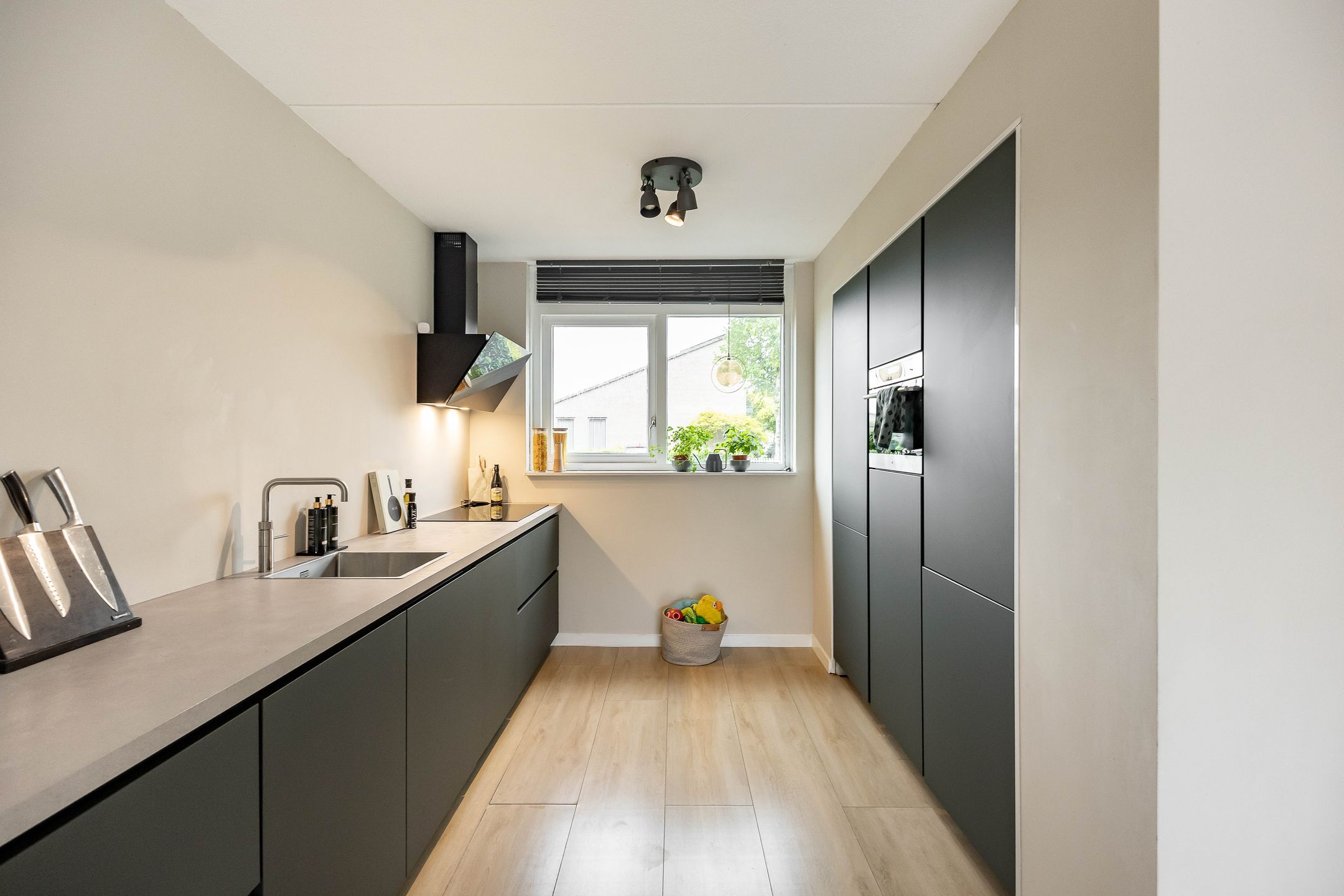 Photo 3 of Johann Faberlaan 43