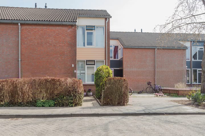 Baksweer 43