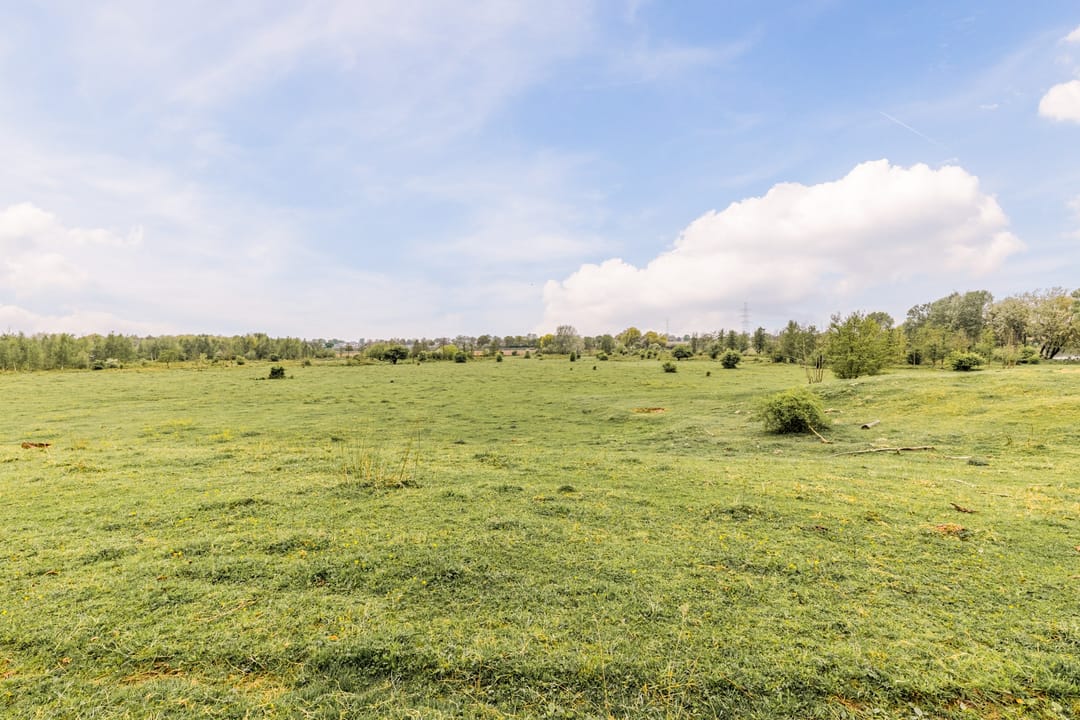 Foto 7 van Moeder Magdalenastraat 15