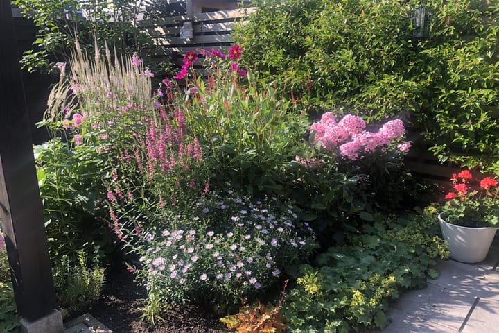 Photo 35 of Kattestaart 33