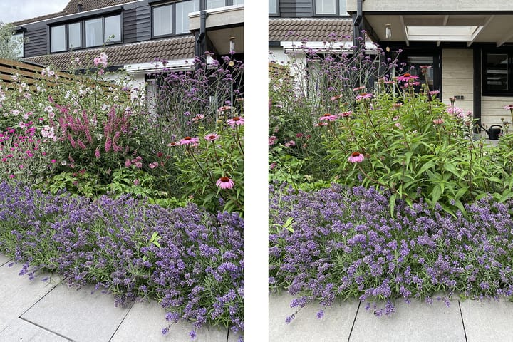 Photo 41 of Kattestaart 33