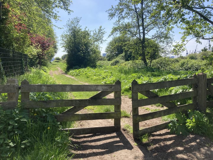 Photo 24 of Schellingwouderdijk 281