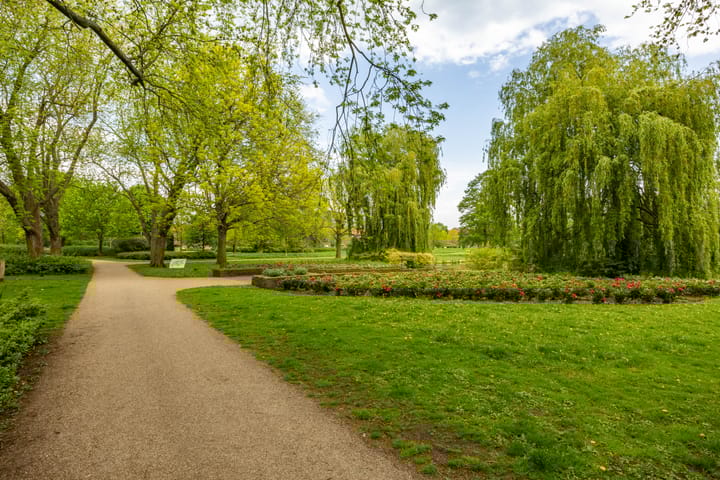 Foto 2 van Korenbloemstraat 8