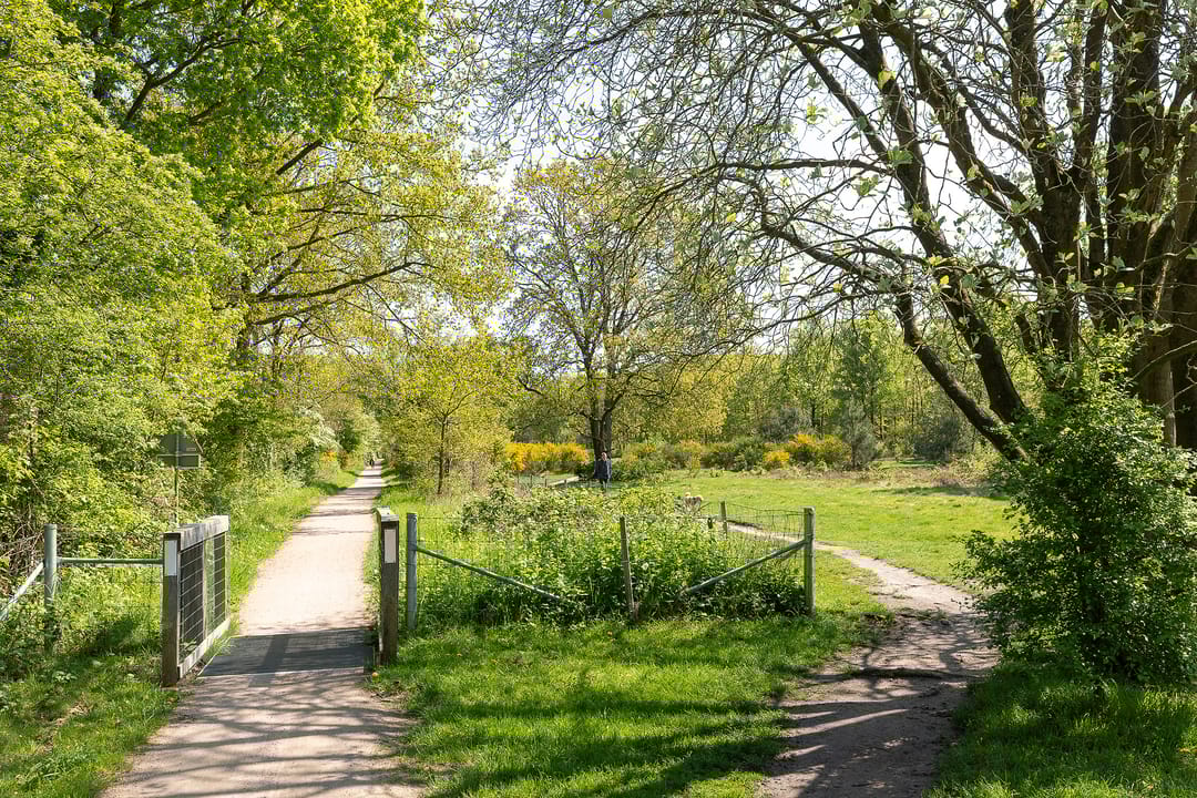 Foto 32 van Nieuwlandseweg 92