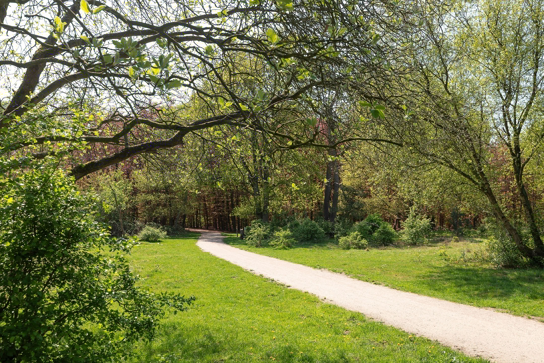 Foto 33 van Nieuwlandseweg 92