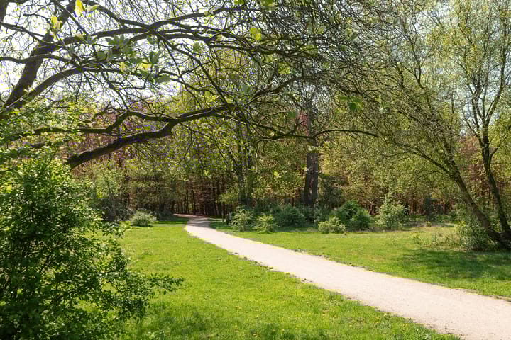 Foto 33 van Nieuwlandseweg 92