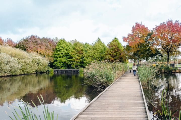 Foto 40 van Van Noordtkade 28-B