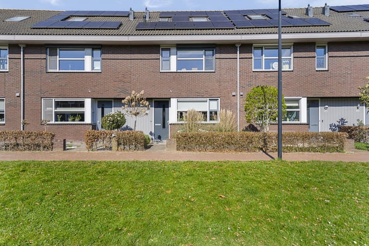 View photo of Zandrug 26