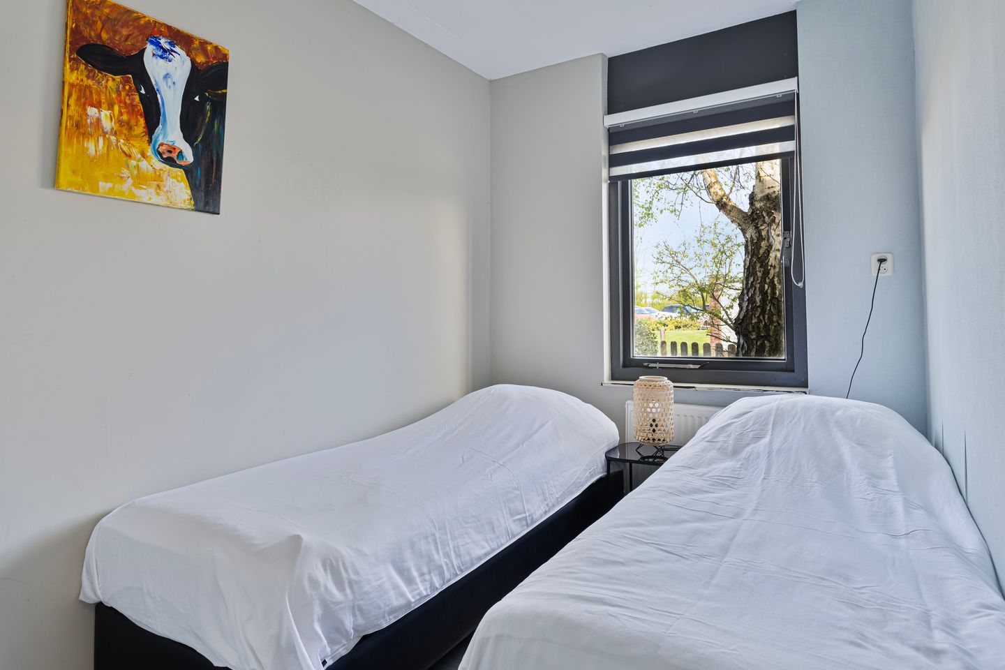 Foto 19 van Duinschooten 12-175