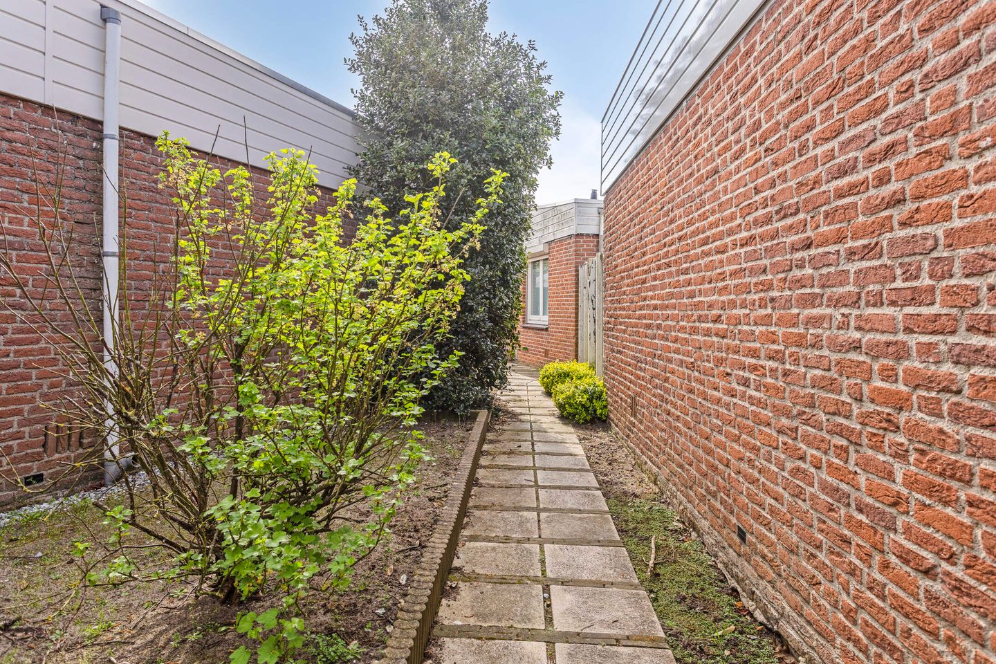 Foto 29 van Duinschooten 12-175