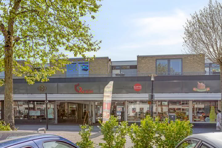 Foto 2 van Andesdreef 25