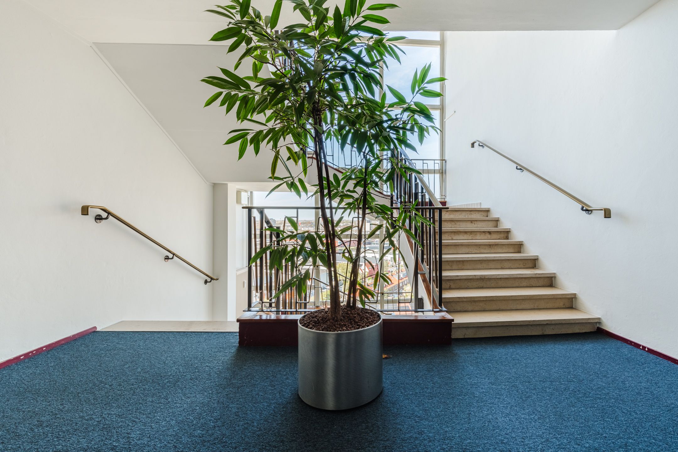 Foto 9 van Plantijnstraat 111