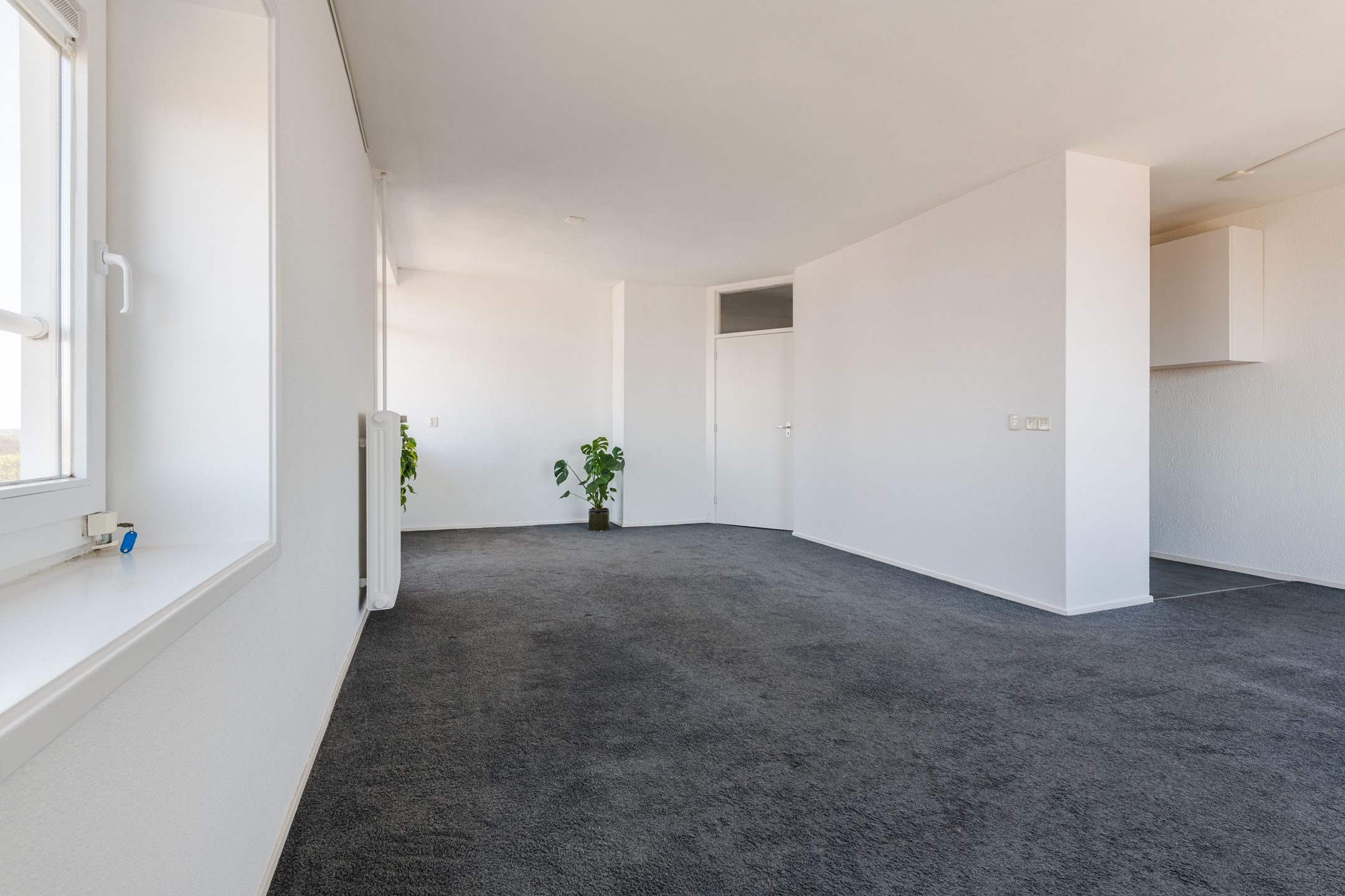 Foto 24 van Plantijnstraat 111