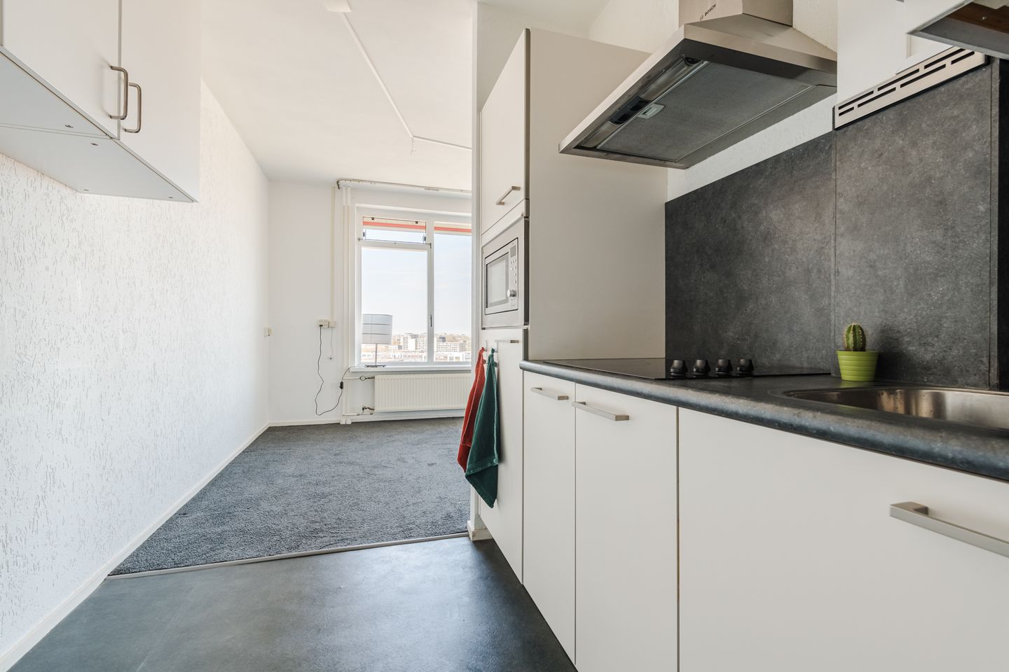 Foto 25 van Plantijnstraat 111