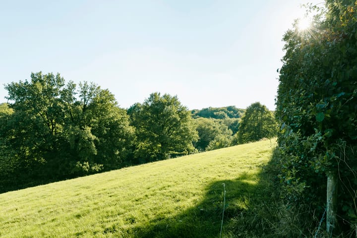 Foto 50 van Rijksstraatweg 263