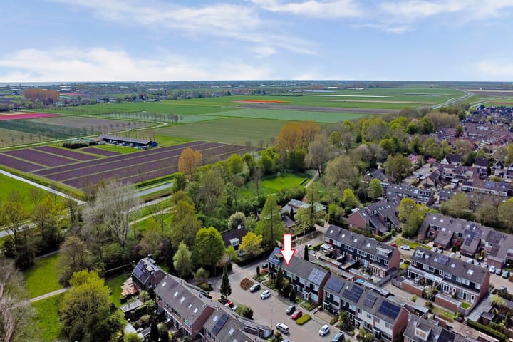 Foto 4 van Schouwschuit 24