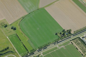 Bekijk foto's