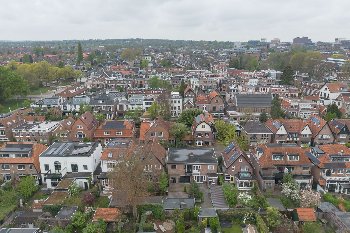 Foto 40 van Bernulfusstraat 24