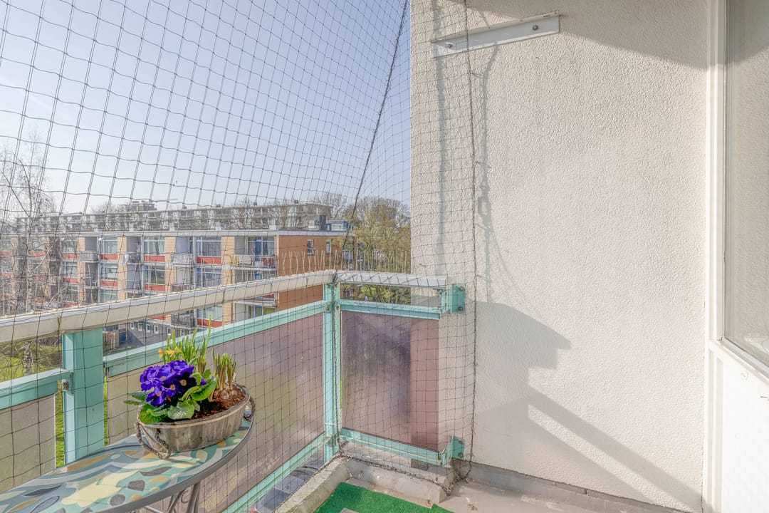 Photo 22 of Dosiostraat 44