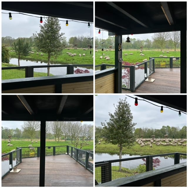 Foto 52 van Hanebalken 209