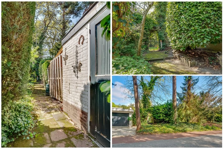 Foto 25 van Ruysdaellaan 45