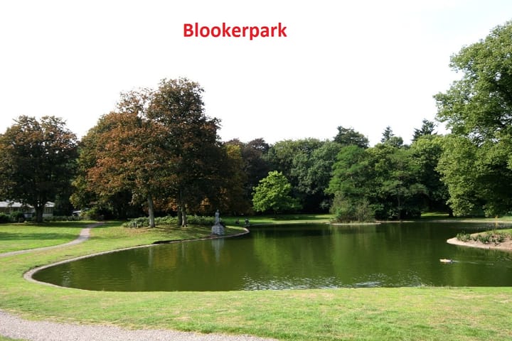 Foto 29 van Ruysdaellaan 45