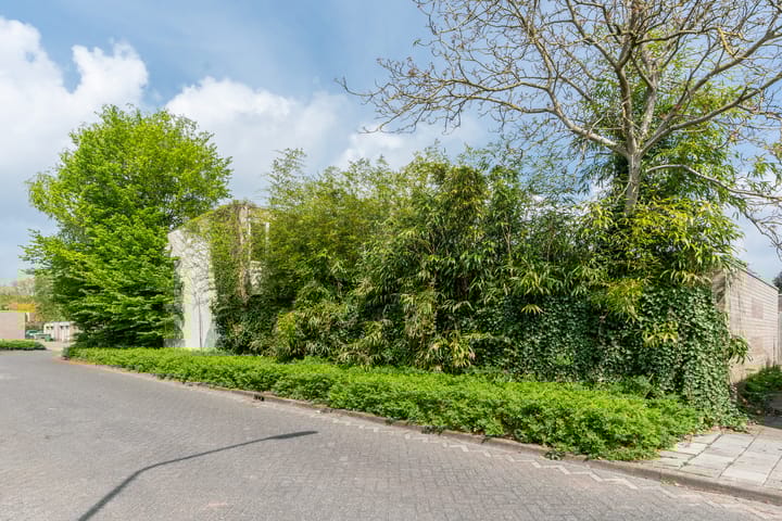 Foto 20 van Lingestraat 50