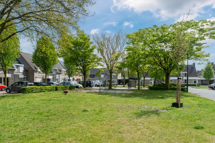 Foto 21 van Lingestraat 50