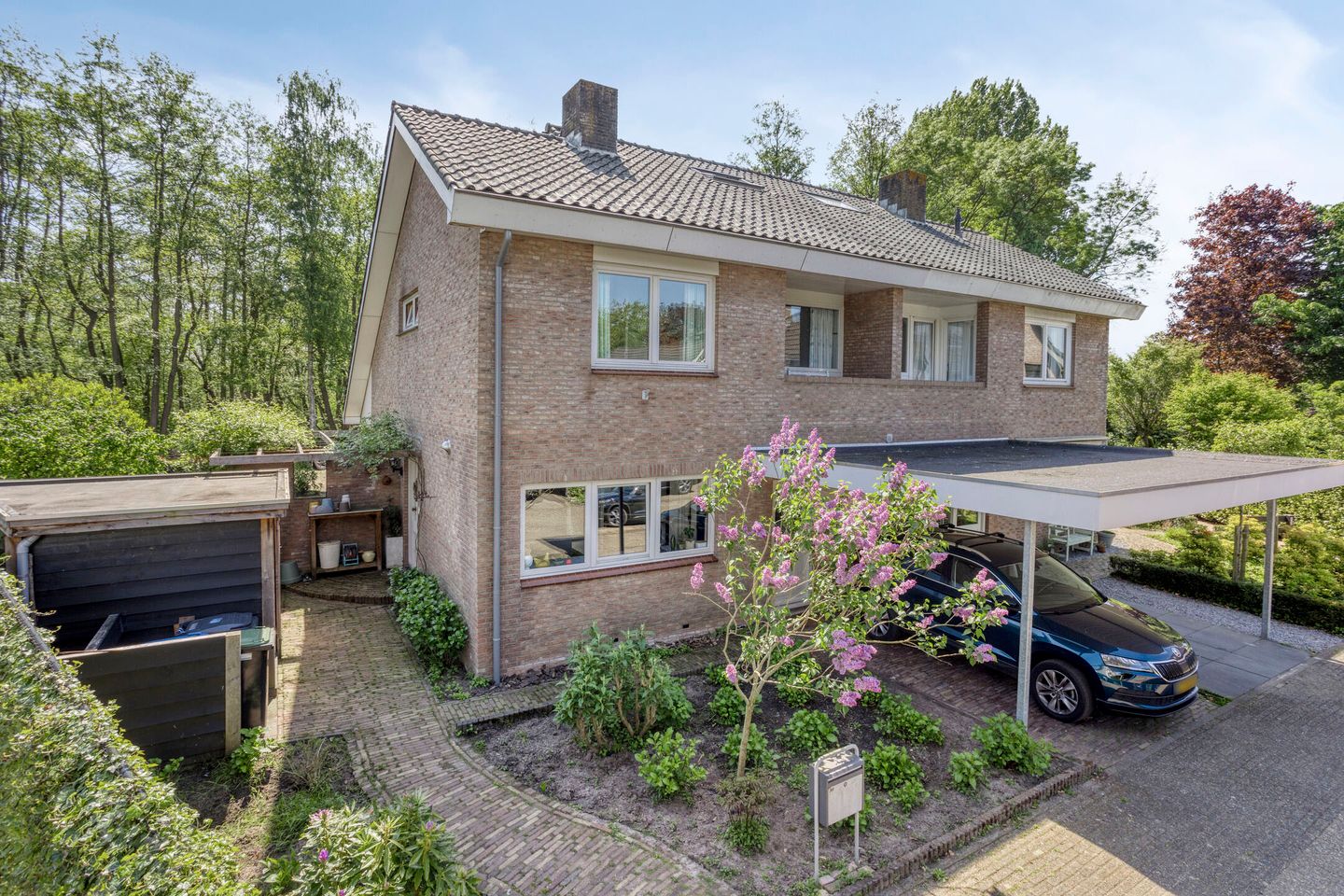 Buntlaar 31 main image