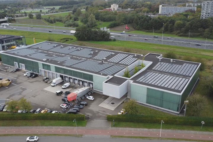 Minervum 7003, Breda