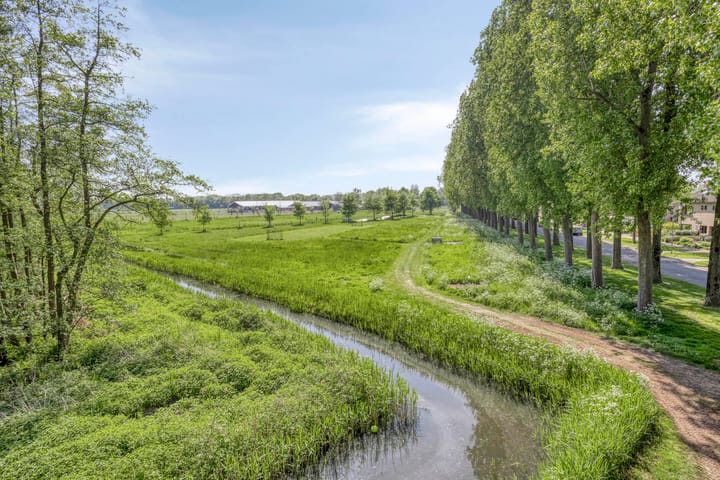 Foto 31 van Buntlaar 31