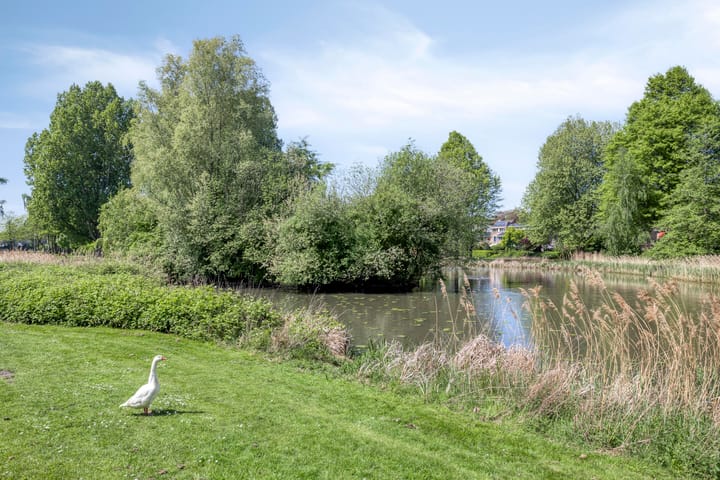 Foto 32 van Buntlaar 31